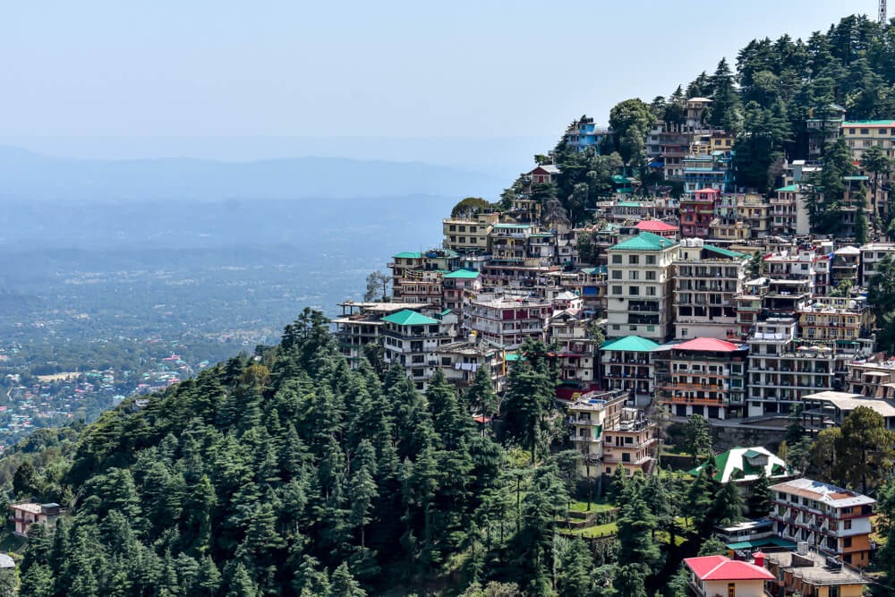 Dharamshala: Where Tibet Meets the Himalayas - Image 3