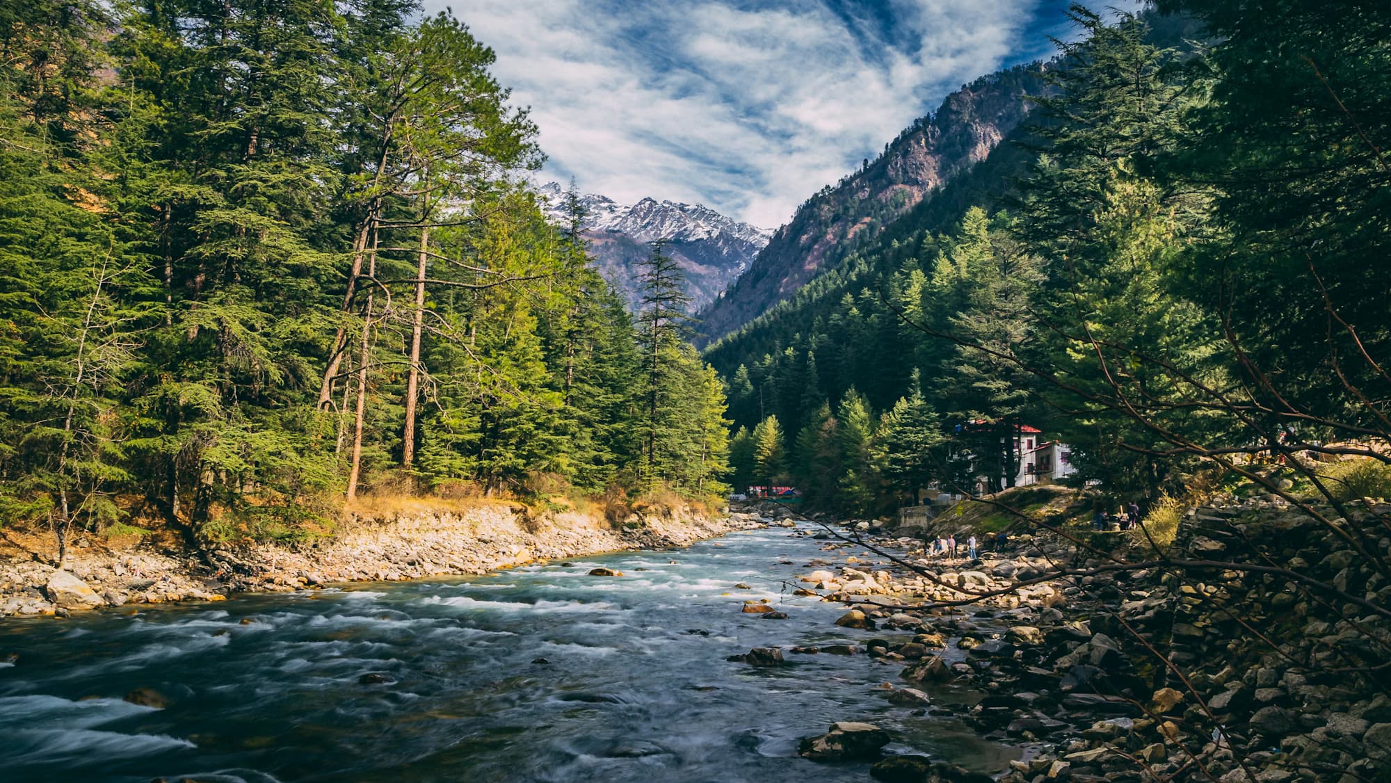 Parvati Valley: Nature's Untamed Sanctuary - Image 1